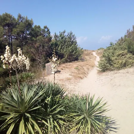 Duplex In Riva Al Mare *